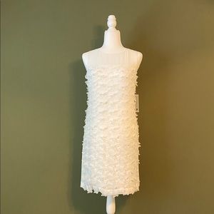 Karl Lagerfeld Paris Butterflies Shift Dress 4 NWT